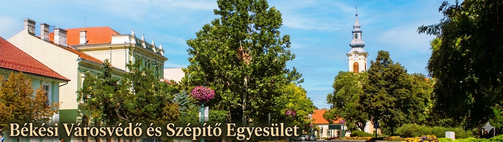 bekesivarosvedok